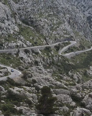 Zestaw spinek miś dla dzieci 10 szt